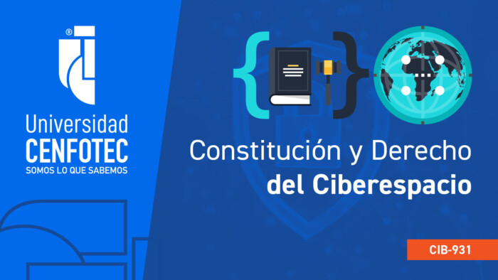 Constitución y Derecho del Ciberespacio