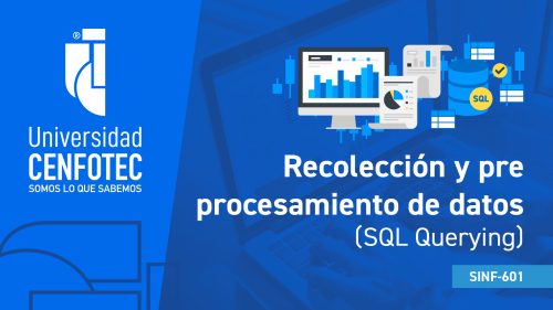 Recolección y preprocesamiento de datos (SQL Querying)