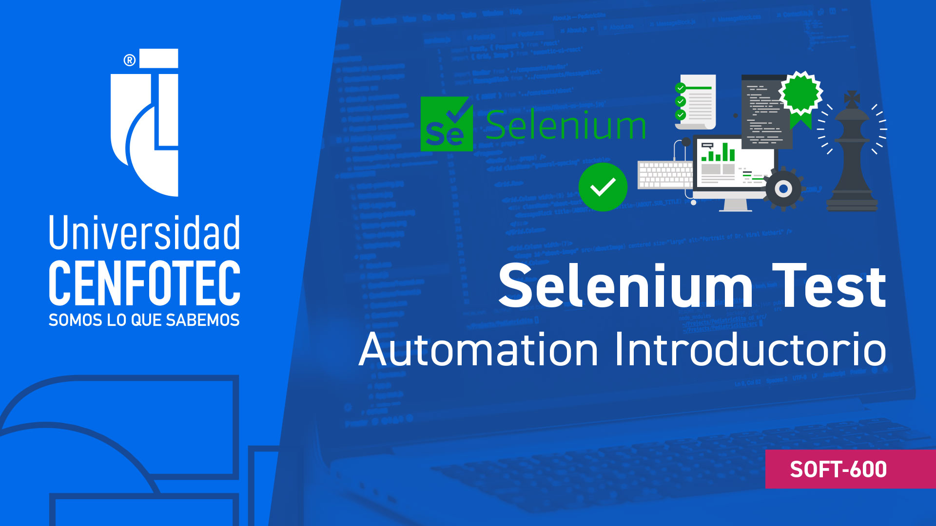 Selenium Test Automation Básico