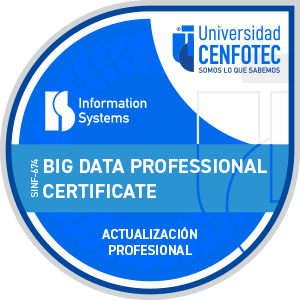 Big Data Professional Certificate