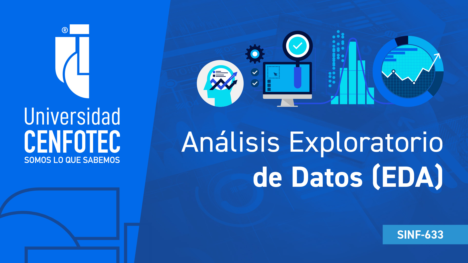 Análisis exploratorio de datos (EDA)