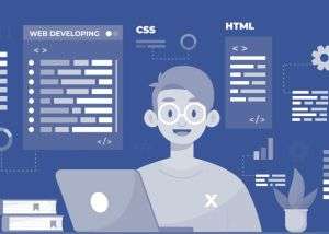 Técnico en Desarrollo y Diseño Web