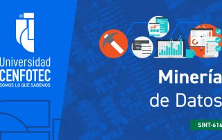 SINT-616 Minería de Datos